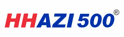 HHAZI 500 mg Tablets